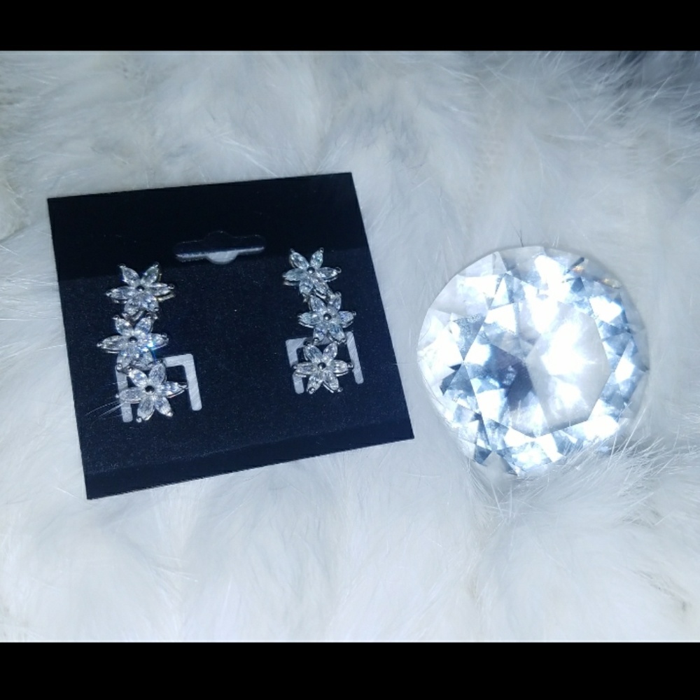 Silver Drop Earrings